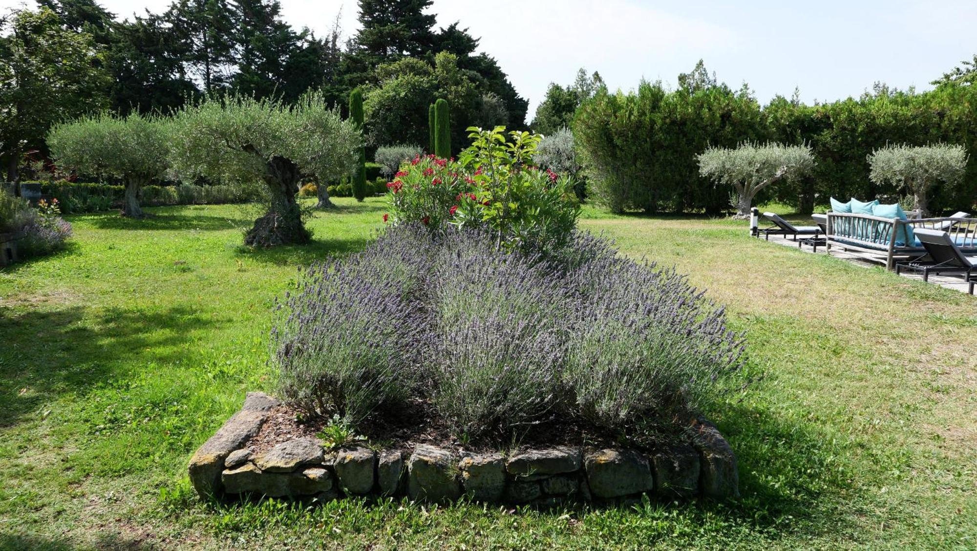 Typical Provencal Farm House Close To L'Isle Sur La Sorgue - 12 Persons カヴァイヨン エクステリア 写真