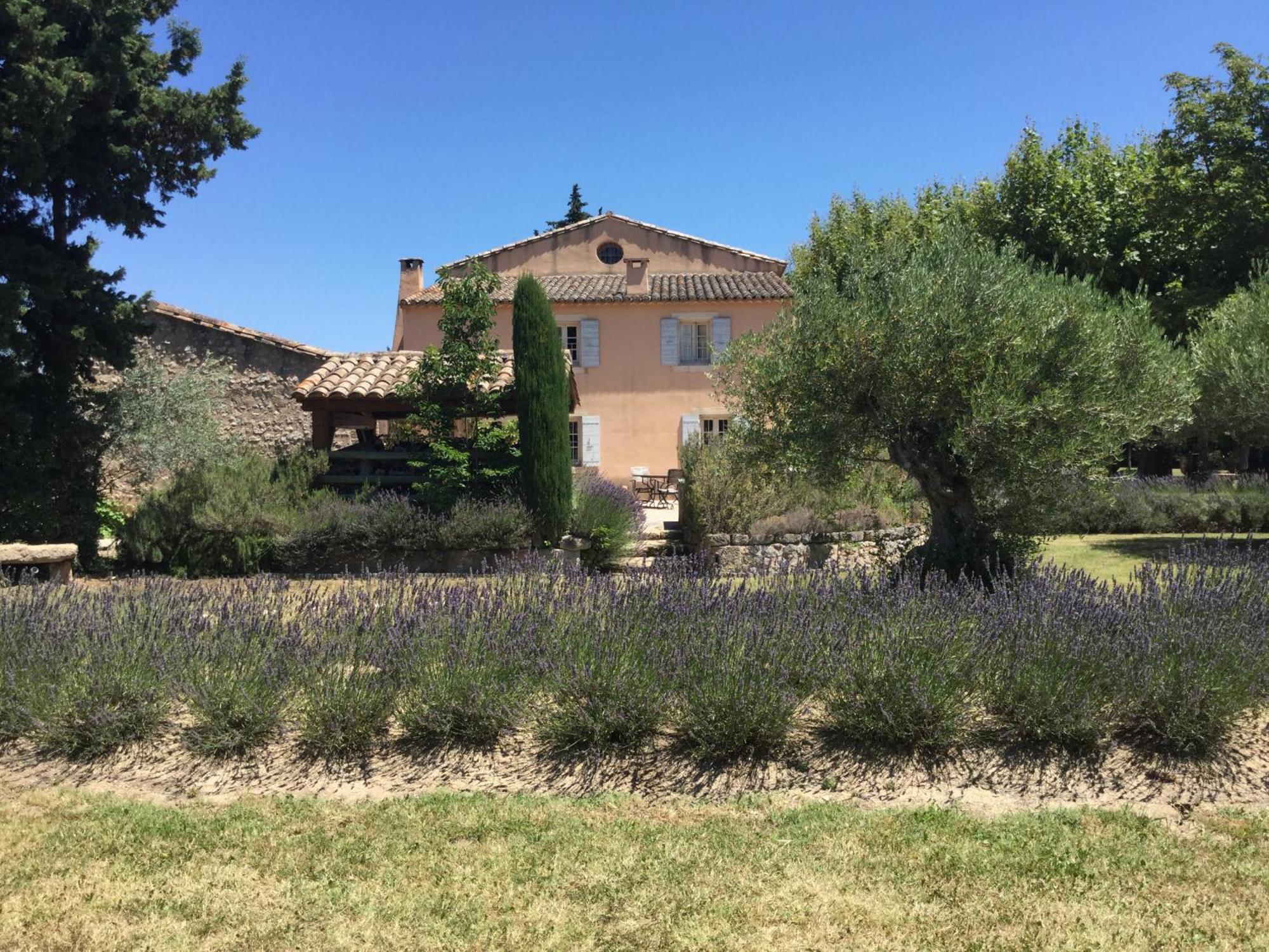 Typical Provencal Farm House Close To L'Isle Sur La Sorgue - 12 Persons カヴァイヨン エクステリア 写真