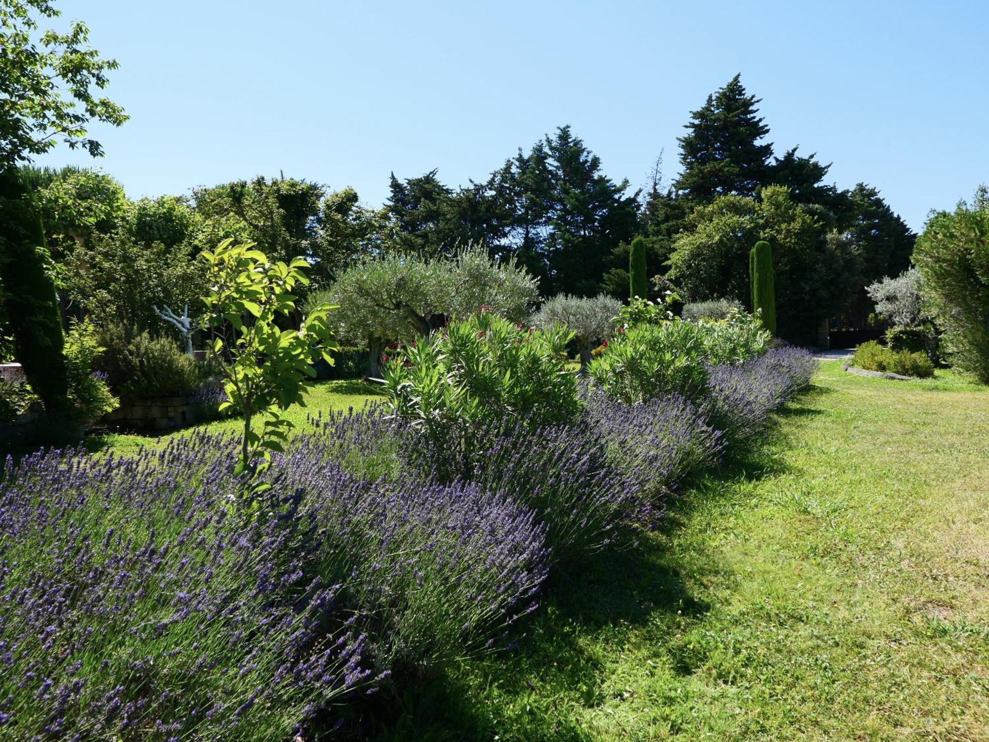 Typical Provencal Farm House Close To L'Isle Sur La Sorgue - 12 Persons カヴァイヨン エクステリア 写真