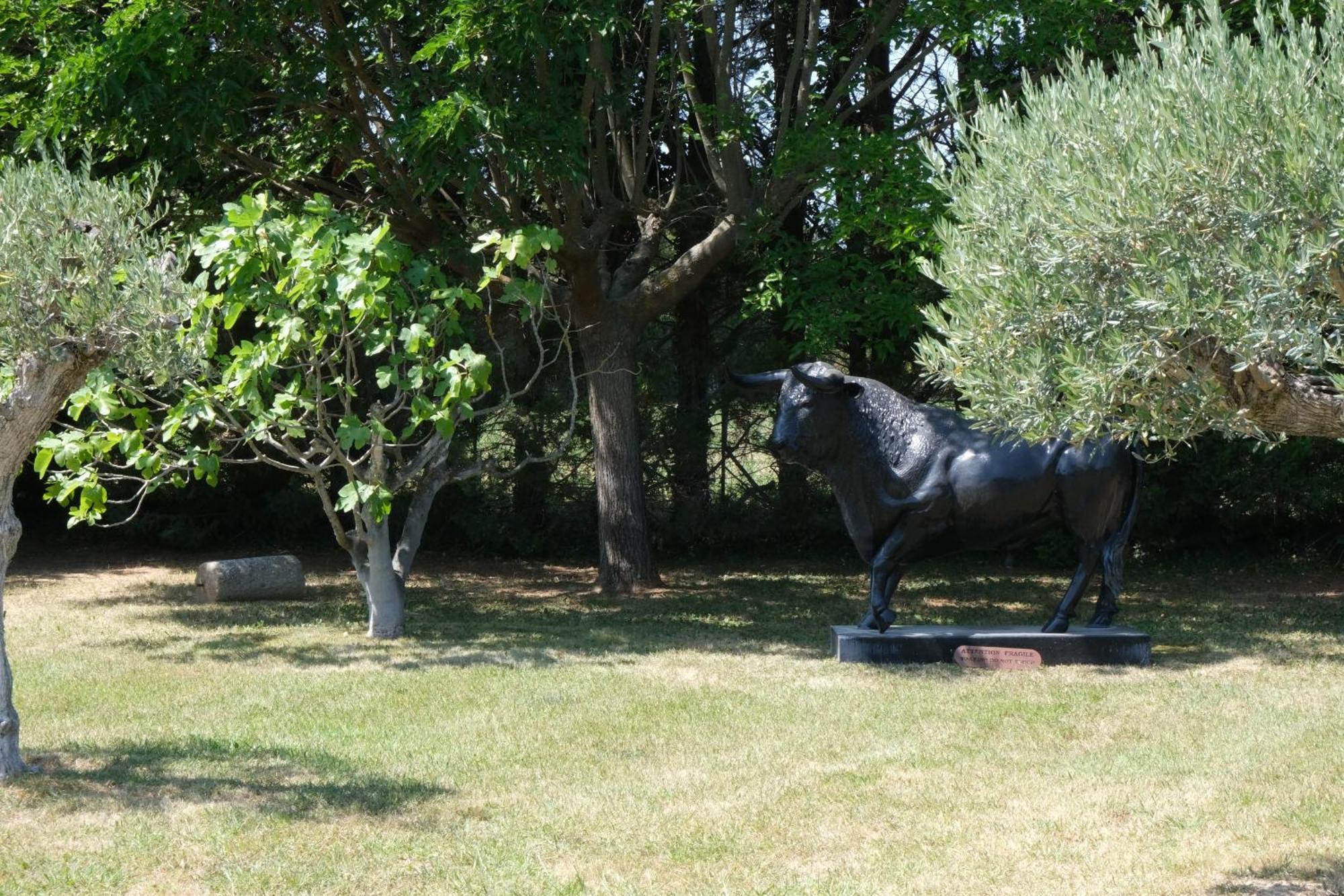 Typical Provencal Farm House Close To L'Isle Sur La Sorgue - 12 Persons カヴァイヨン エクステリア 写真