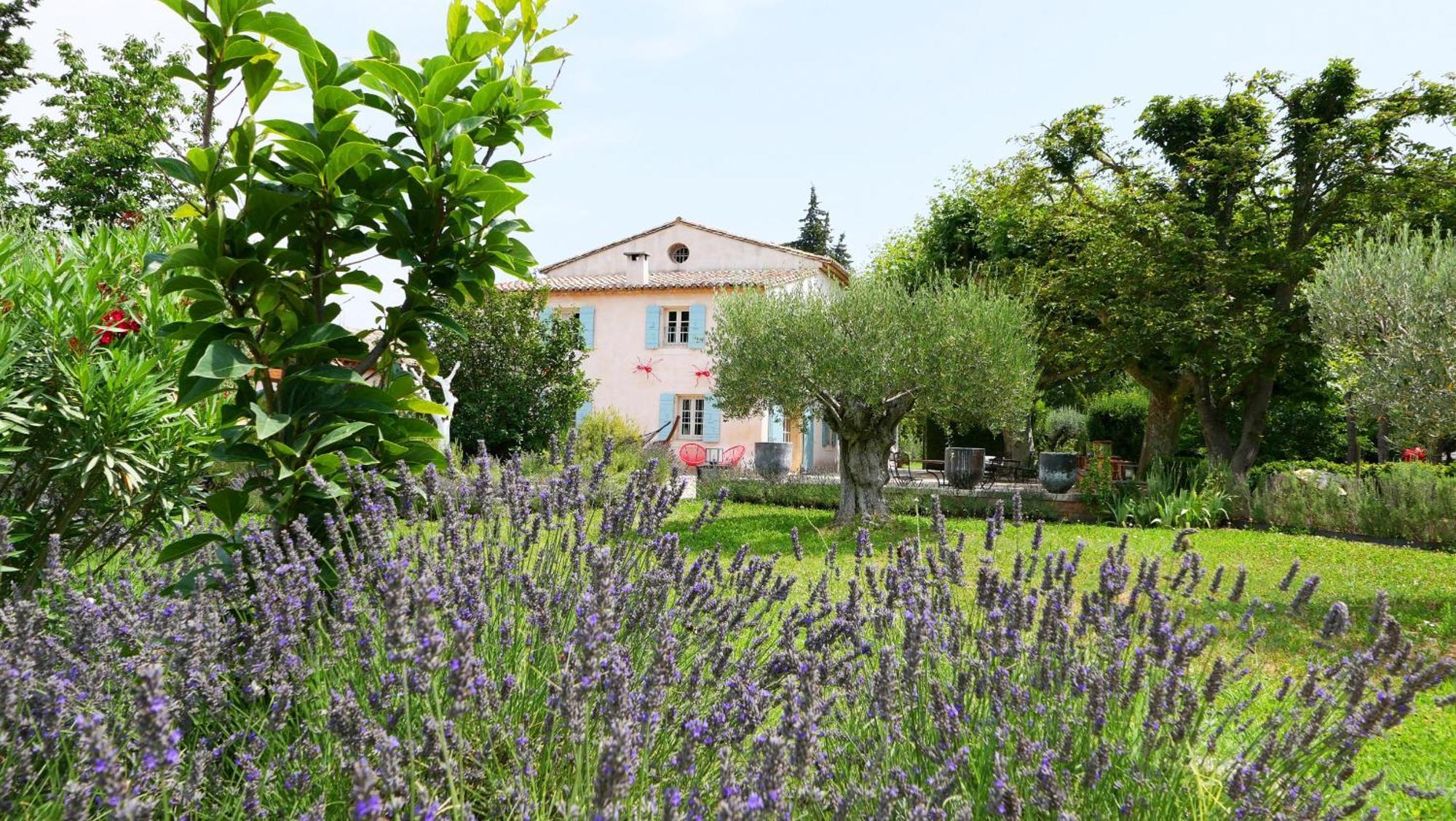 Typical Provencal Farm House Close To L'Isle Sur La Sorgue - 12 Persons カヴァイヨン エクステリア 写真